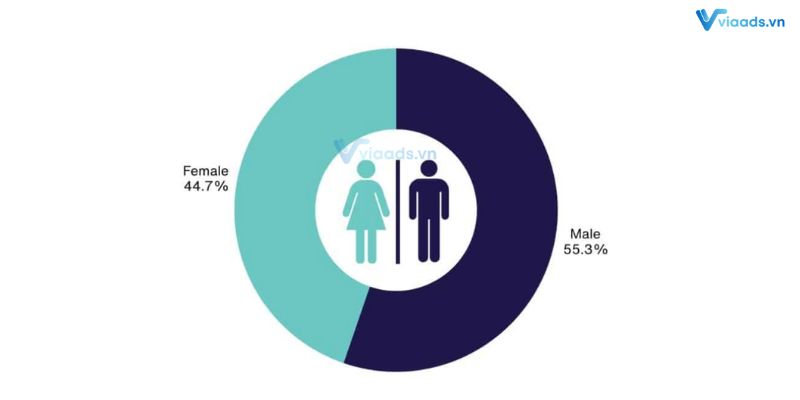 Nhân khẩu học theo giới tính của người dùng facebook 