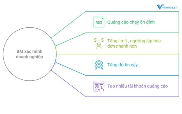 Ưu điểm của BM XMDN